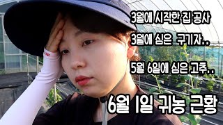 32살 귀농녀 참동이 근황 -참동 ep8