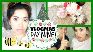 STUNG BY A BEE!!! Vlogmas 9, 2014