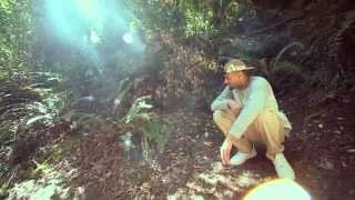 Locksmith - "Who I am" (feat Rebecca Nobel)