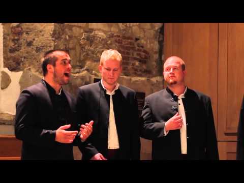 Klapa Kožino London Concert - Lipa li si, Mare moja