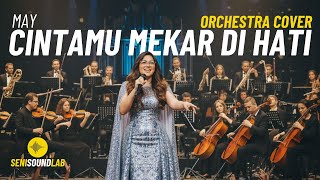 Download lagu May - Cintamu Mekar Di Hati (Orchestra Cover) [4K] | Seni Sound Lab mp3