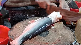 Download lagu 🔴Uzzal Fish Cutting Live Now!!All Fish Cutting Skills🐠 🔪🔪🐠#short #shortfeed #2ufc#fish#vairal. mp3 Download lagu 🔴Uzzal Fish Cutting Live Now!!All Fish Cutting Skills🐠 🔪🔪🐠#short #shortfeed #2ufc#fish#vairal. mp3