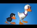 Seis Patitos Canciones De La Granja De Zenón 2