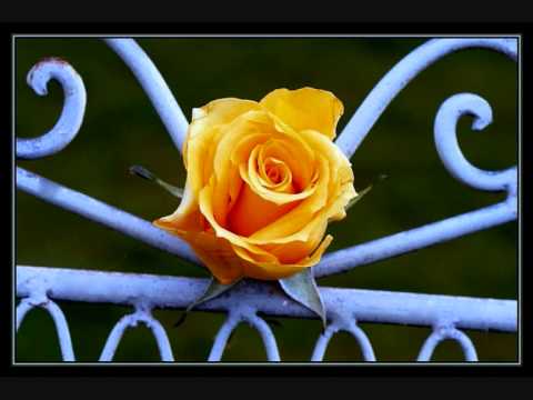 Irena Tratnik - Tiha Noč