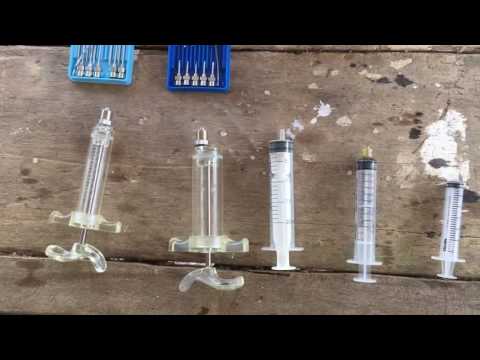 Monodiet สำหรับโรคสะเก็ดเงิน การรักษาจอร์จ Pagano ของโรคสะเก็ดเงิน