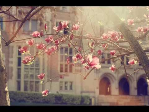 Misty Edwards - Like a Fragrance, Like a Sweet Perfume ( Spontaneous Song)