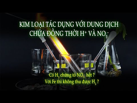 Kim loại tác dụng với estrume dịch chứa H+ e NO3-.