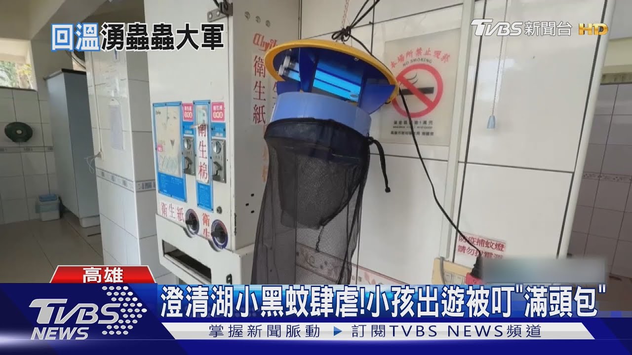 好癢!澄清湖淪小黑蚊地獄 小孩出遊被叮「滿頭包」