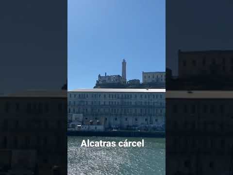 Cárcel de alcatras.🧐