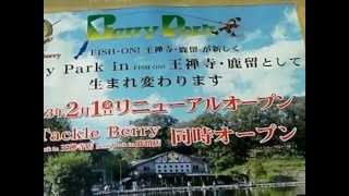 タックルベリーの管理釣り場、王禅寺に行ってきた藻煮た！混んでた・・