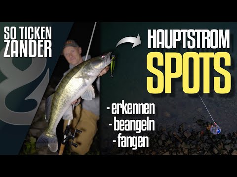 Wobbler-Spots zum Zanderangeln im Hauptstrom finden! So ticken Zander!