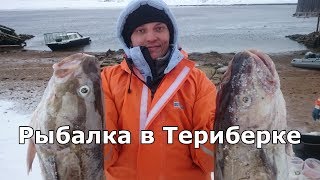 Туры на рыбалку в териберку