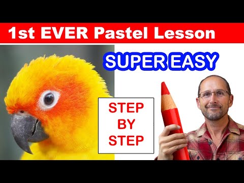 Start Drawing Animals ! COMPLETE Beginner Pastel Pencil Lesson