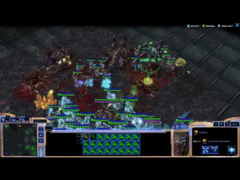 StarCraft II Fastest Possible Map 1440P