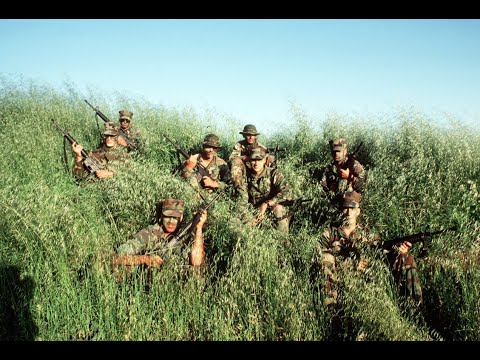 ARMA Cold War Assault - 1985 Campaign Part 5 - Partisans! Also we got cursed survival skills!