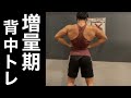 【筋トレ初心者】逆三角形を作る広背筋の鍛え方!