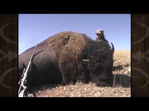 Úlovek bizona