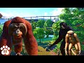 Orangutans Siamangs Gibbons Share A Habitat Eco Zoo Planet Zoo Franchise Mode Ep33