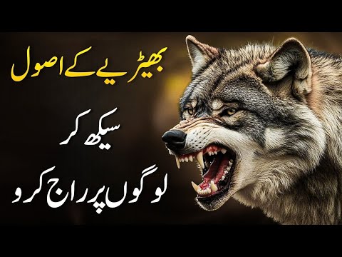 WOLF MENTALITY | 10 Rules Of Power By Wolf | How to Become Powerful