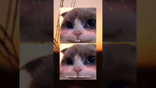 Download lagu STORY WA KUCING VIRAL DI TIKTOK 🐱 mp3 Download lagu STORY WA KUCING VIRAL DI TIKTOK 🐱 mp3
