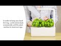 Click &amp; Grow sėklos išmaniajam vazonui - Violetinis bazilikas, 3vnt.
