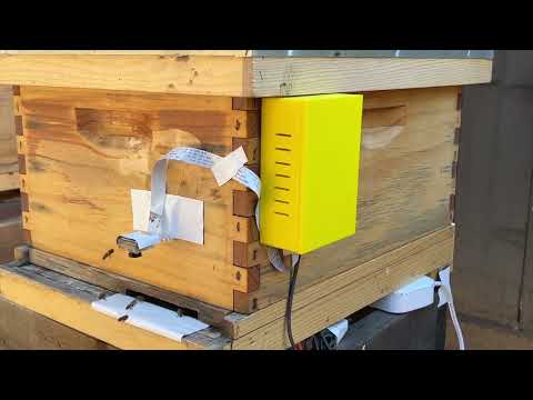 Video Demo on YouTube