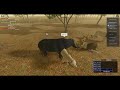 Roblox Wild Savanna Idk What This Vid Is About Wildsavanna Robloxrp ItsTrix