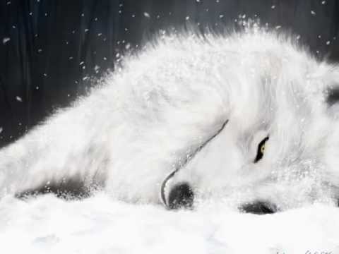 DJNskp-(calvin harris Sweet Nothing)(Klaas Hold This Moment)(Jacob van Hage Voodoo)(Gotye Somebody)