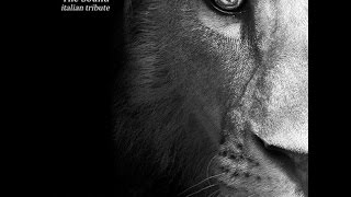 A Violet Pine feat. Ivan Piepoli - Sense of Purpose (The Sound cover)