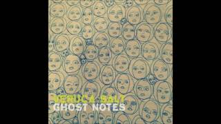 Veruca Salt   Ghost Notes   01   The Gospel According to Saint Me
