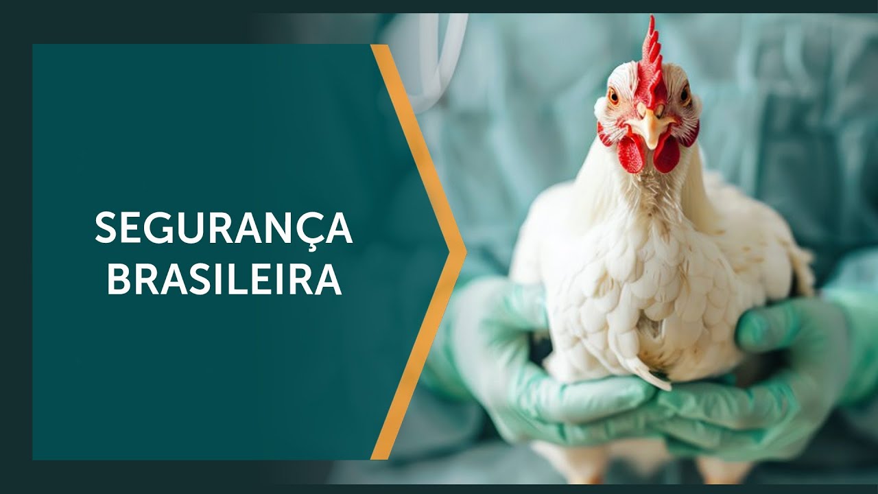 País preparado contra gripe aviária