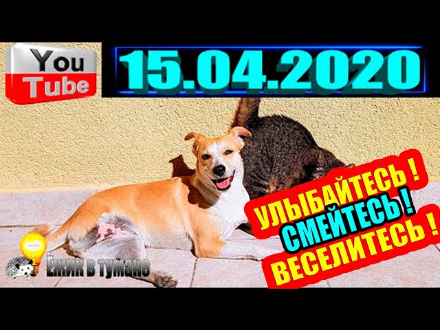 ПОДБОРКА Лучших Приколов Смешные Видео из ТИК ТОКА