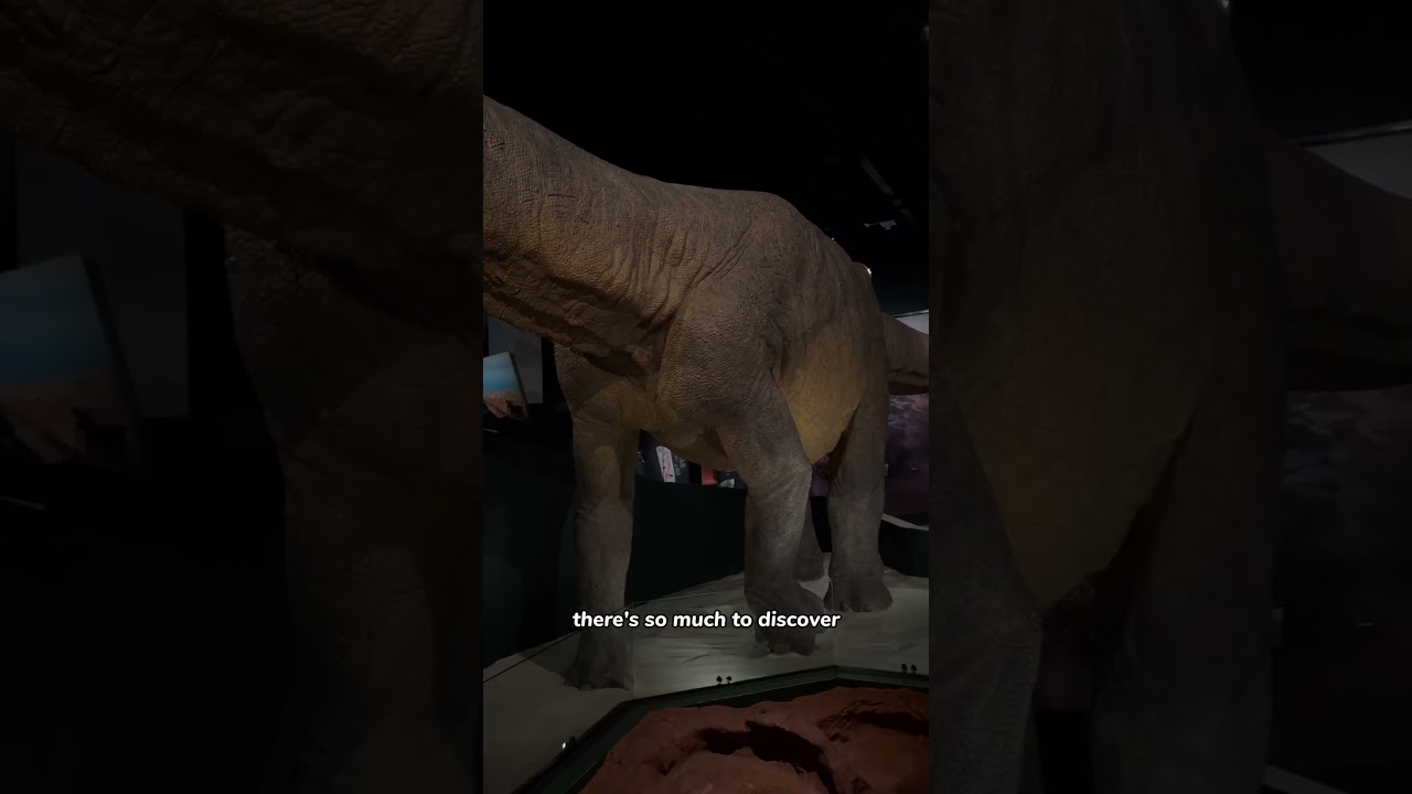 YouTube Short thumbnail