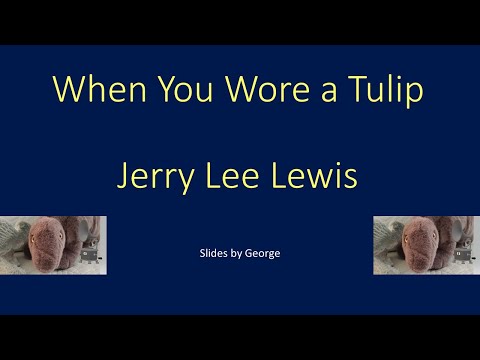 When You Wore A Tulip - Jerry Lee Lewis