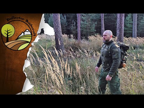 Výsadek: Turovecký les ➠ Téměř dokonalá rovinka 🌳🌲🌄