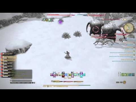 FINAL FANTASY XIV lvl 54 healer quest