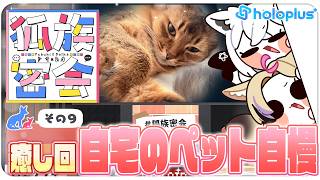 【その９】チルラジオ配信 #狐族密会　「癒し回！自宅のペット自慢」【ホロライブ/白上フブキ/尾丸ポルカ】