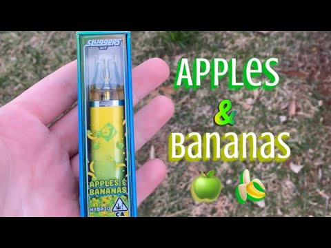 Sluggers Hit Disposable - Apples & Bananas