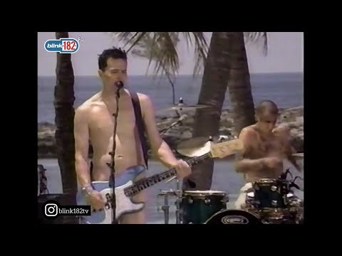 blink-182 - What’s My Age Again? (MTV Castaway Countdown 1999)