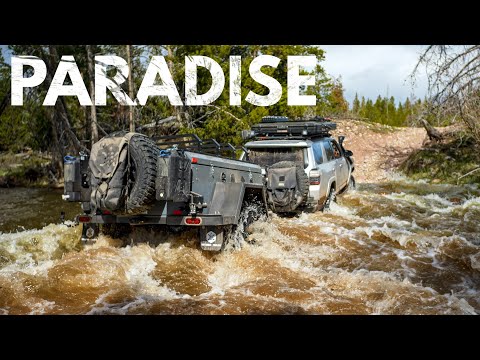 Water Crossings, Gigantic Fossils, and EPIC Camp - An Overland Paradise [S5E20]