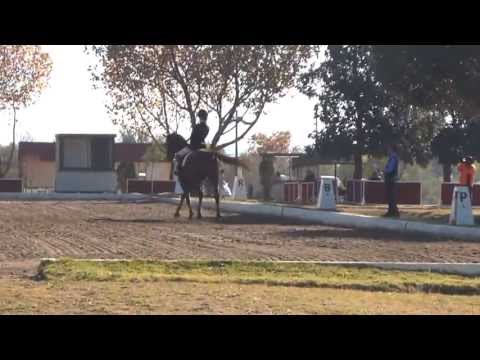 Chiara Myburgh & Trust Roodnoot Medium 3