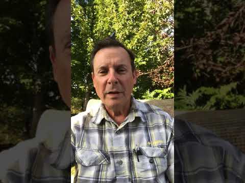 God’s Gift To Humanity