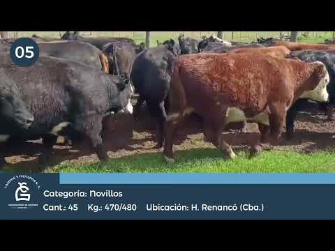 Lote NV - Huinca REnancó Cba