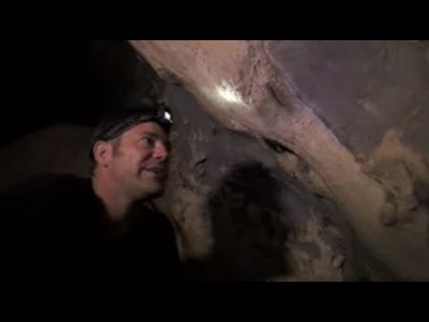 Thumbnail of the video: Closer Look at the Forest | Expedition Borneo | BBC Studios