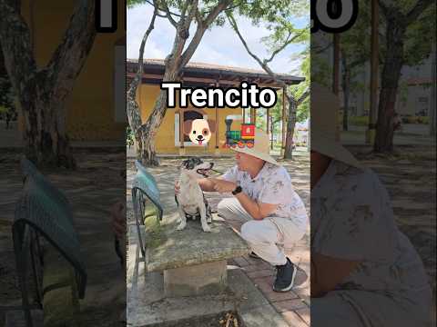 ¿Conocen a Trencito? Cuidador voluntario de la estación del tren de El Espinal Tolima 🐶🚂♥️