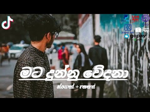 ♥️🥀Mata Dunnu Wedana | මට දුන්නු වේදනා 🥺♥️🥀(Slowed + Reverbed) @bhtmanoparamusic