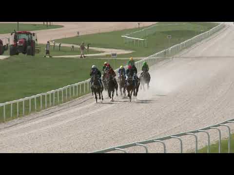 2021.07.25. 02. futam - NYERETLENEK VERSENYE (V.kat.) (szintetikus pálya)