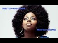Tribute To Angie Stone Mix