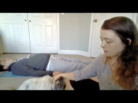 Take a Journey to the Secret Garden