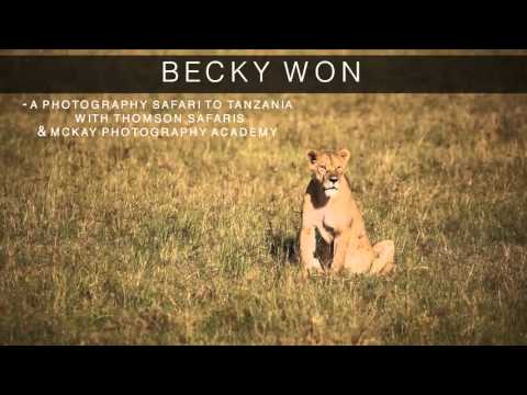 Safari Winner Announcement!